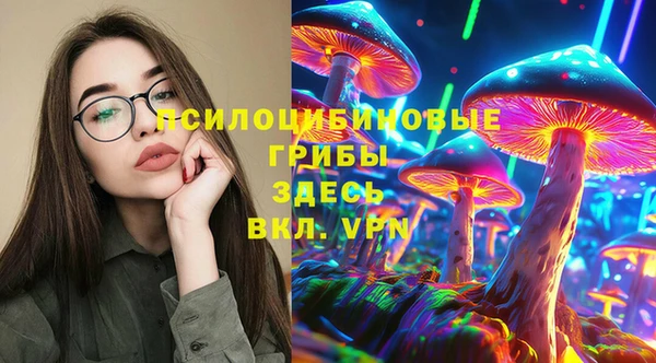 PSILOCYBIN Богданович